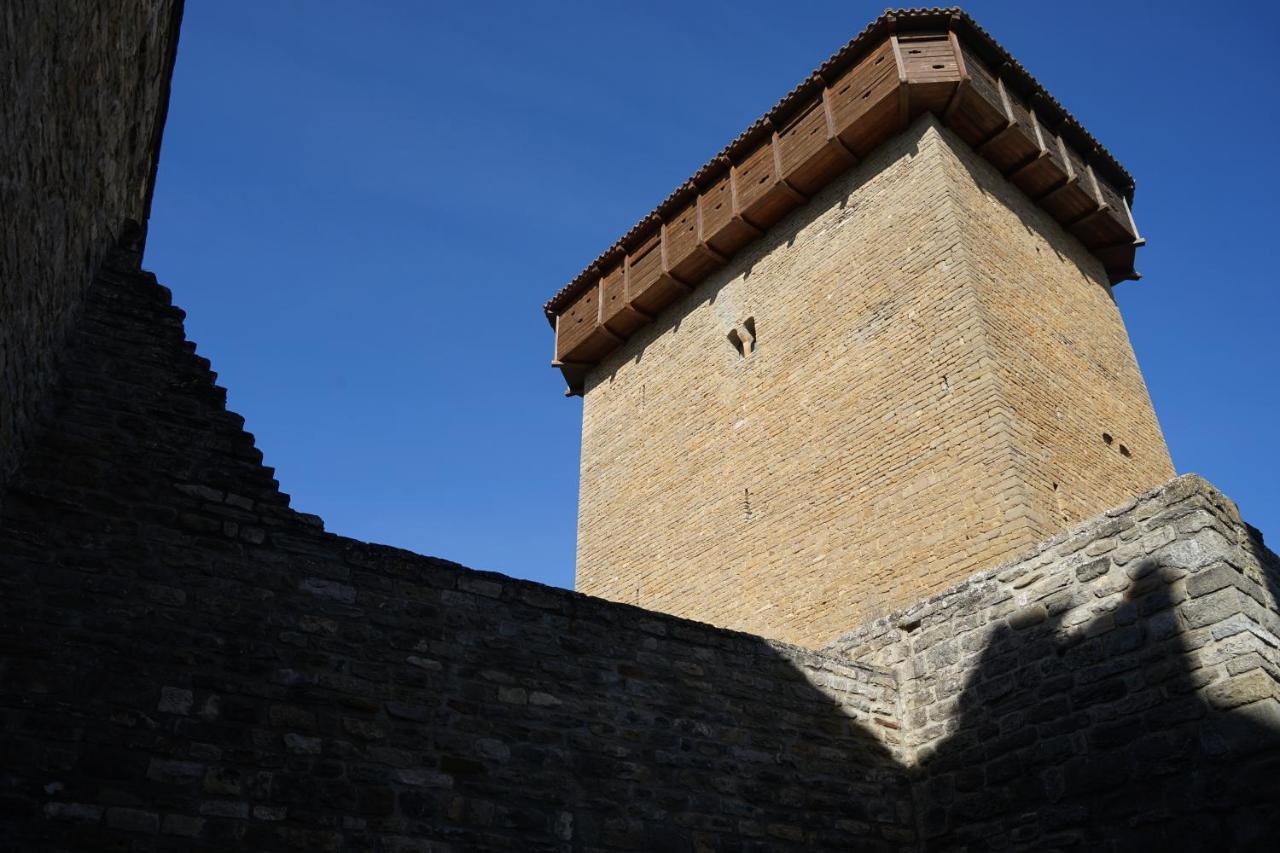 Hotel Casa Fumanal Huesca Eksteriør bilde